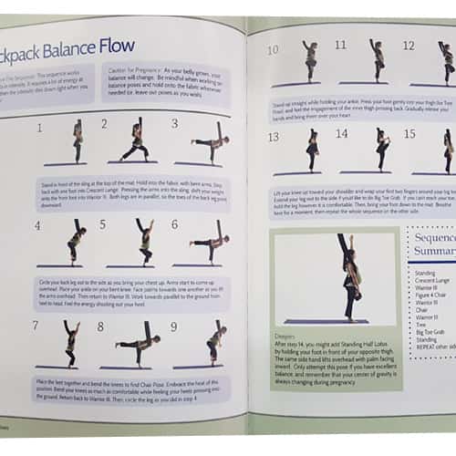 Aerialist's Guide to Surviving Pregnancy